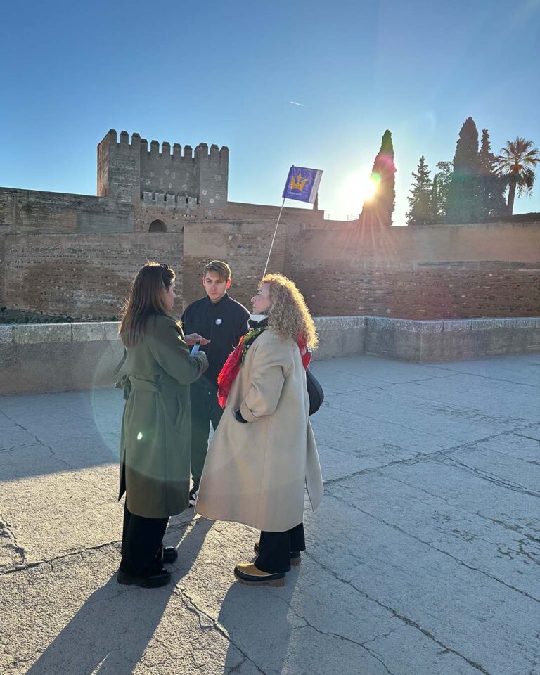 tour of alhambra in granada